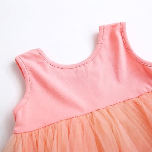 delimiter princess baby tulle dress