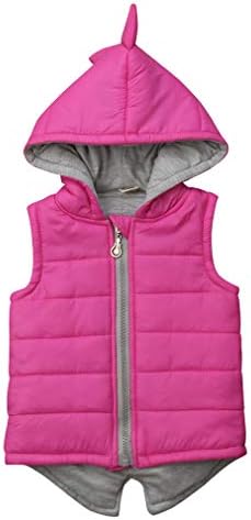 Adorable Dinosaur Vest Jacket for Kids