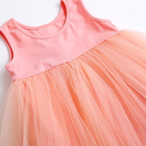 delimiter princess baby tulle dress