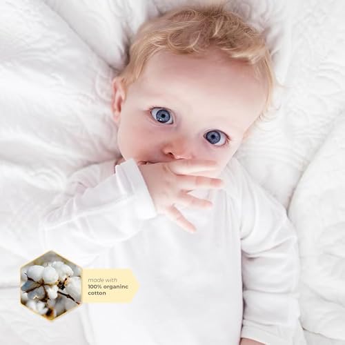 Burts Bees Baby Unisex Baby Bodysuits 5-Pack