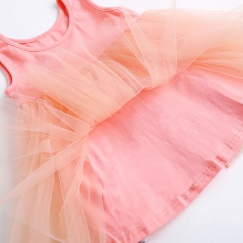 delimiter princess baby tulle dress