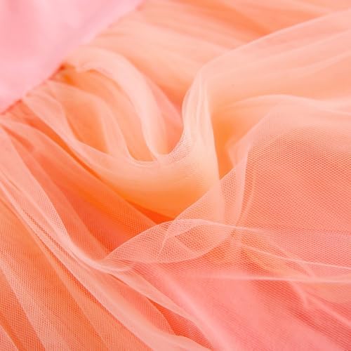 delimiter princess baby tulle dress