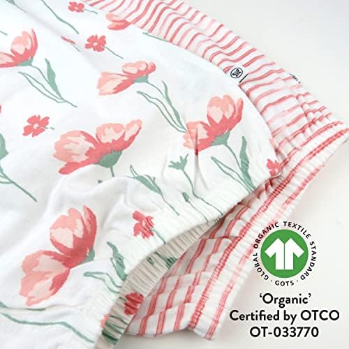 HonestBaby 2-Pack Sleeper Gowns for Newborns