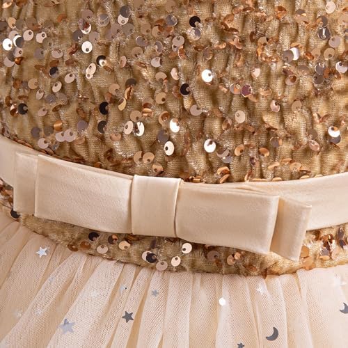 Floral Princess Tutu Dress for Girls